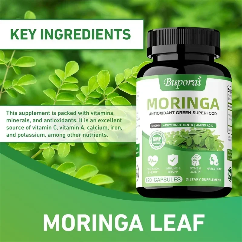 Moringa Capsules - Antioxidant - đánh giá và giá Moringa Leaf Powder